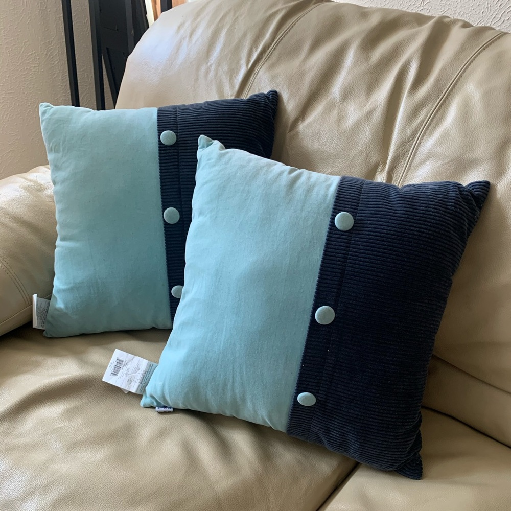 Set of 2 Throw Pillows